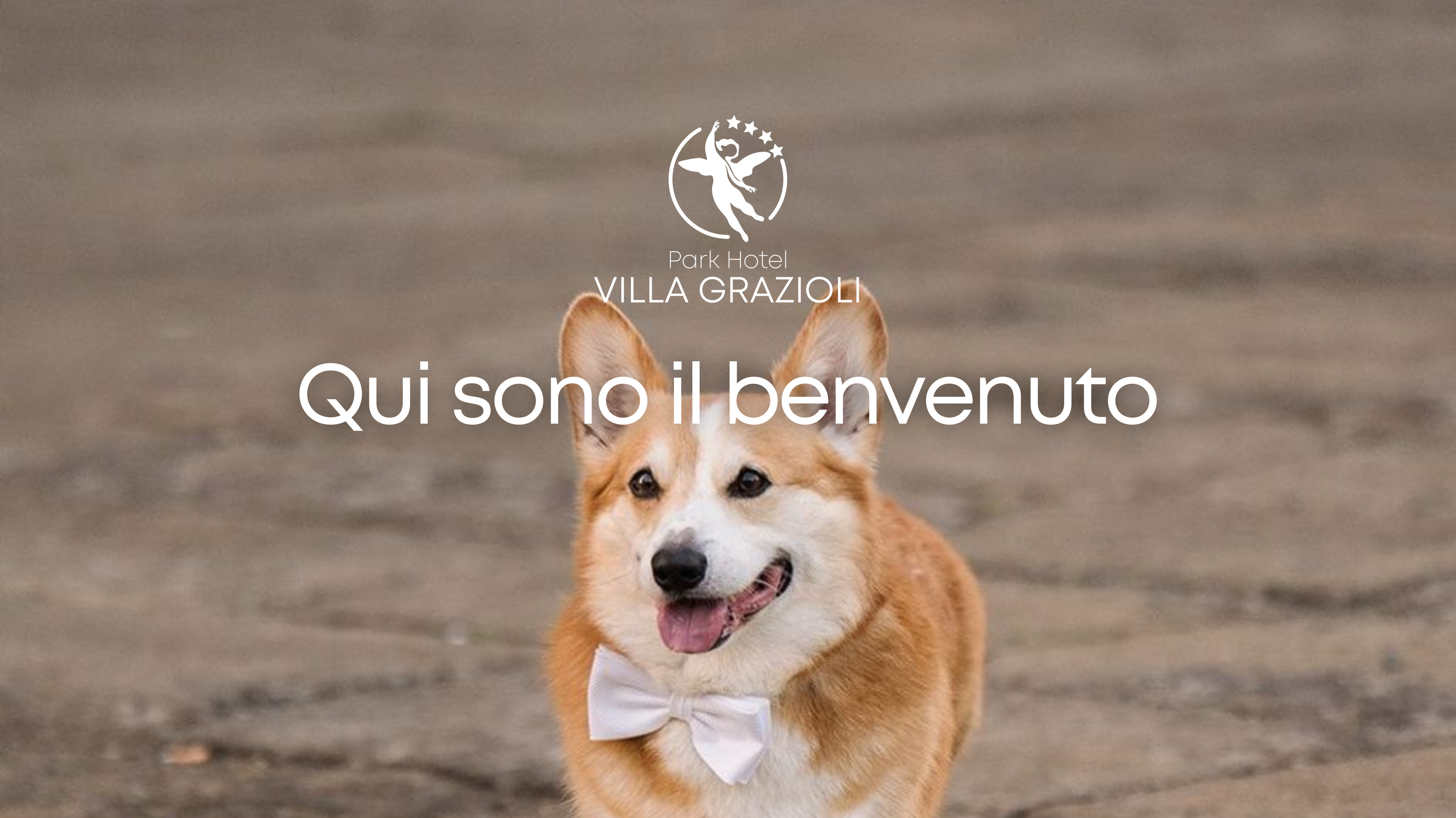 pop-up-pet-friendly-villa-grazioli-1
